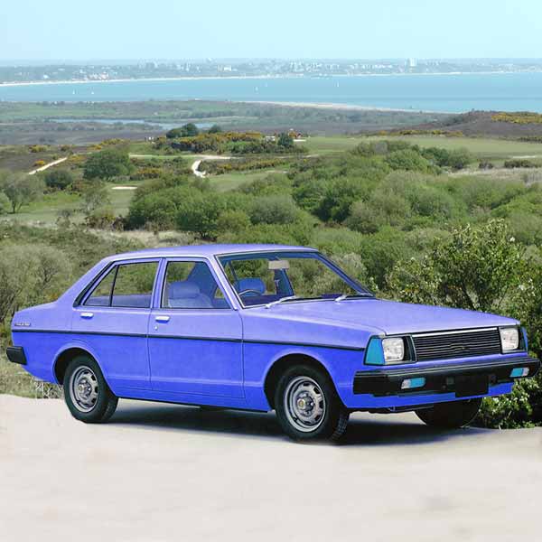 Datsun Sunny Image